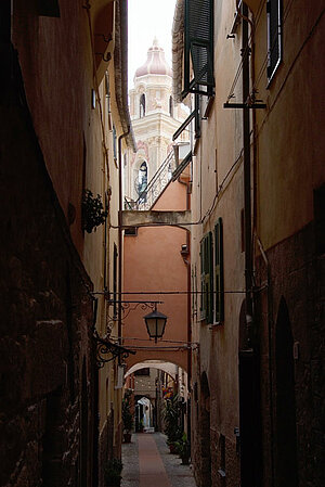 Cervo