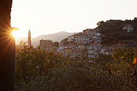 image-411